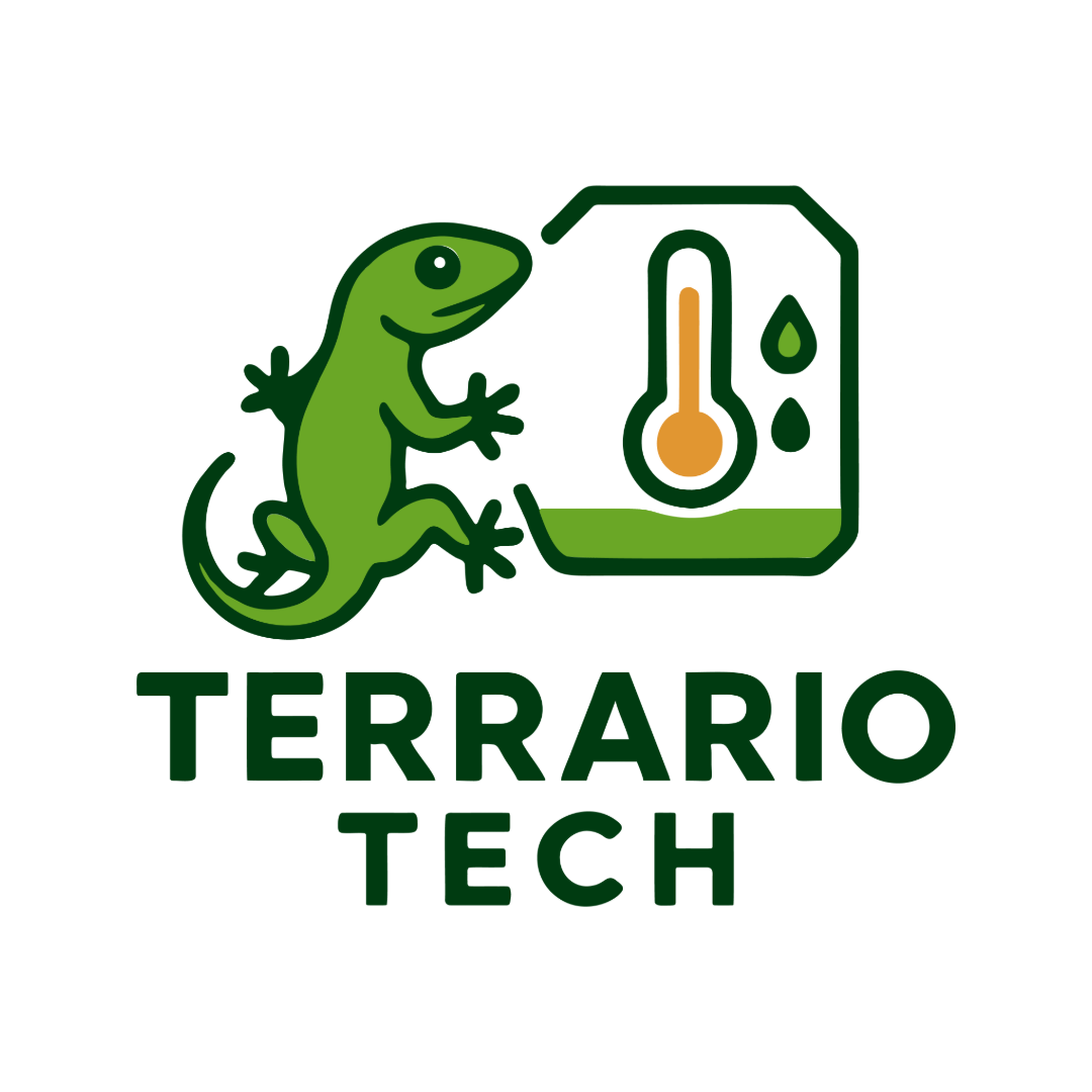 Lasius niger Kolonie